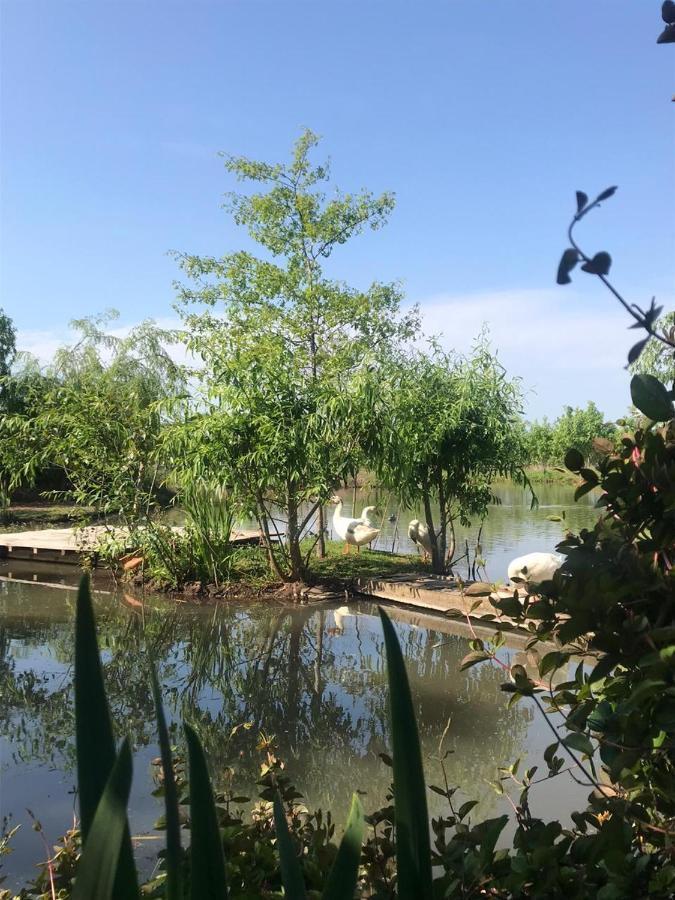 El Tramway Casa Antigua De Campo Bed & Breakfast ซานอันโตนิโอเดอาเรโก ภายนอก รูปภาพ
