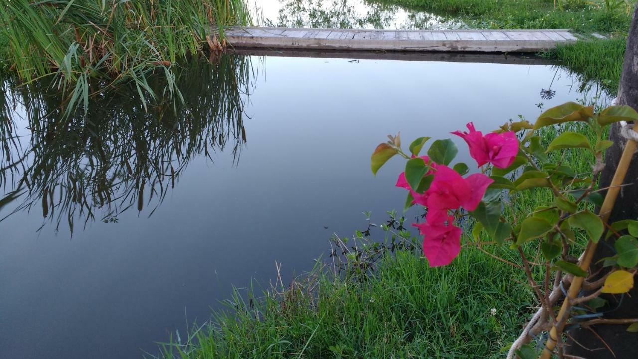 El Tramway Casa Antigua De Campo Bed & Breakfast ซานอันโตนิโอเดอาเรโก ภายนอก รูปภาพ